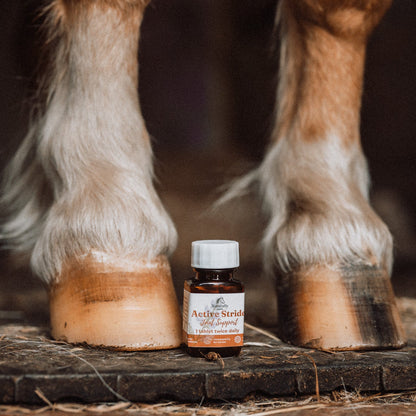 A small amber bottle labeled Active Stride Joint Support stands on a wooden surface between a horse's hooves in a barn setting.