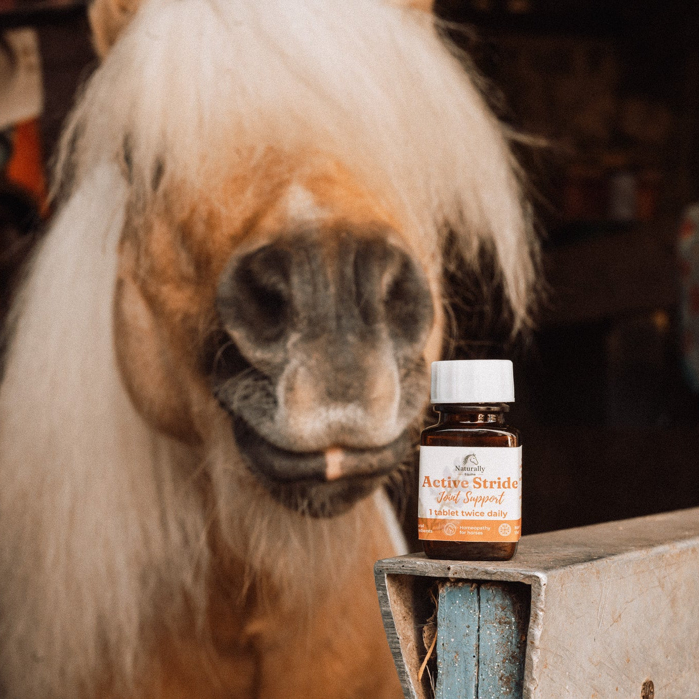 A small amber bottle labeled 'Active Stride' sits on a metal rail in front of a close-up of a horse with a long cream-colored mane inside a stable.