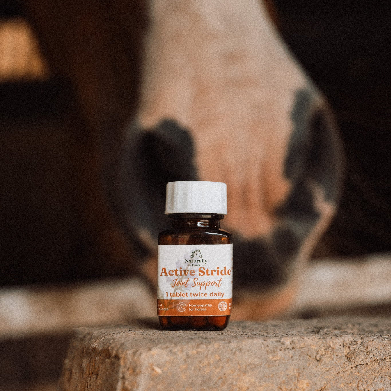 A small amber bottle of Active Stride  Joint Support standing on a stone surface with a blurred horse nose in the background.
