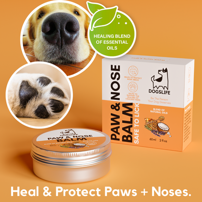 Nose and paw pictured with paw and nose balm on orange background