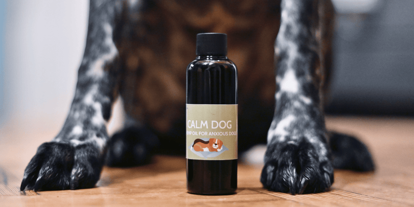 Bottle of Calm Dog oil between dogs legs