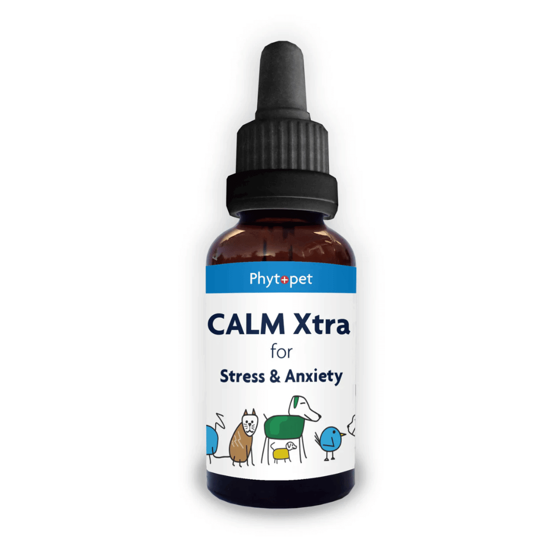 "Calm Xtra liquid tincture for dog anxiety relief with herbal ingredients like valerian and skullcap, 30ml bottle."