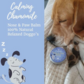 Image of a sleeping dog next to the Balm