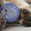 Image of Calming Nose Balm next to a dogs paw