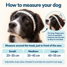 Infograpic showing how to measure your dog to fit a snood. 
