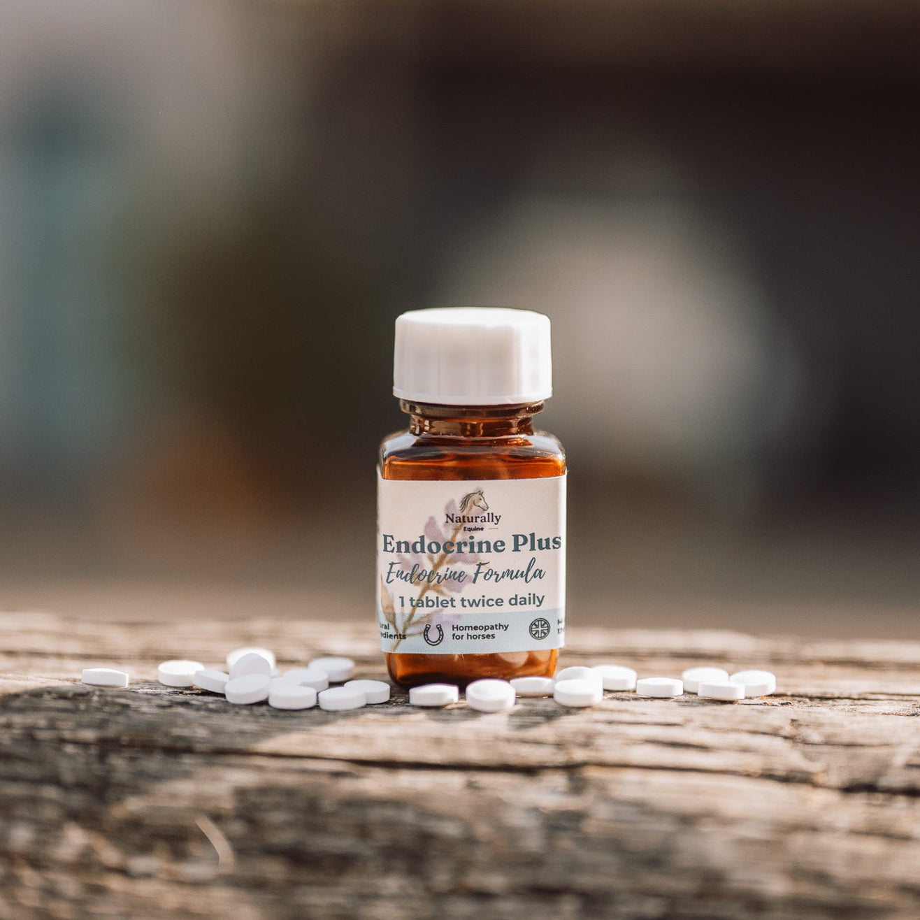 A small amber bottle labeled Endocrine Plus with a white cap, standing on a rustic wooden surface with white tablets scattered around it. The background is softly blurred.