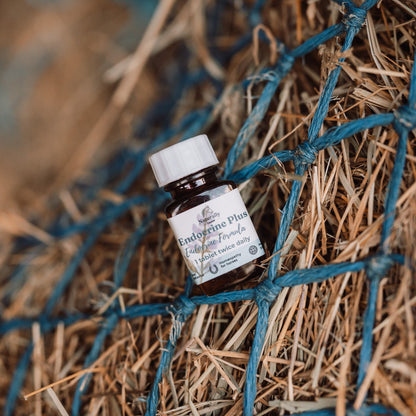 A small amber glass bottle with a white cap and a white label reading 'Endocrine Plus' on blue mesh over dry straw in a rustic stable setting.