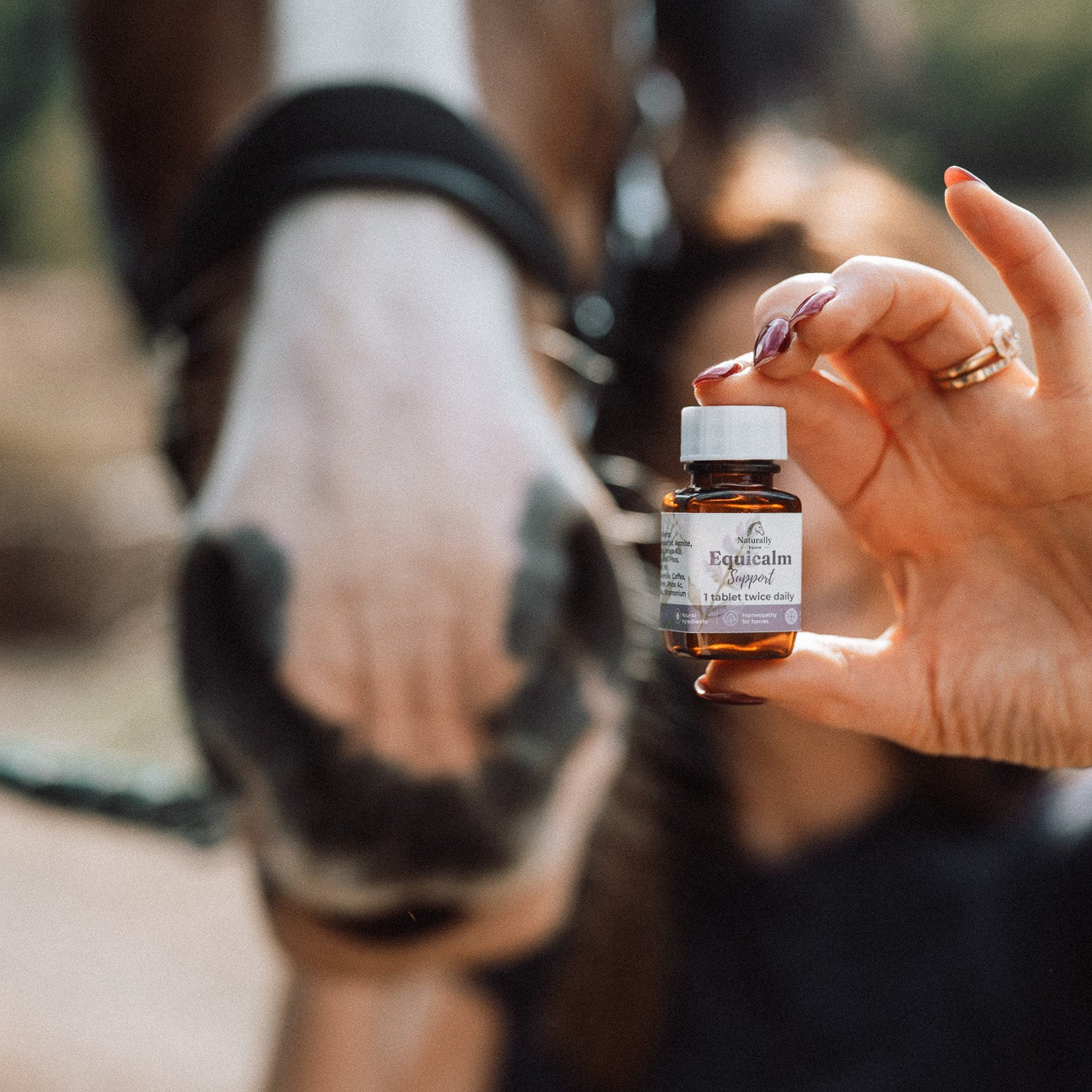 A person holds a small amber glass bottle labeled 'Equine' in front of a horse's face in an outdoor setting.