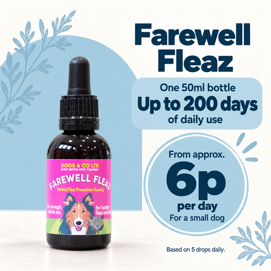 A bottle of Farewell Fleaz dog flea treatment by Bone & Co Ltd, shown on a light blue and white background with promotional text detailing the 50ml bottle, 200-day use, and cost of 6p per day for a small dog.
