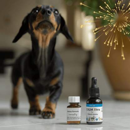 Fireworks Special Pack: For Dogs Scared of Fireworks