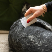 using a flea comb on a dog
