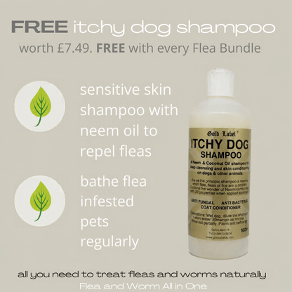 A promotional graphic for Gold Takt Itchy Dog Shampoo, showing a white bottle with a beige label on the right, alongside marketing text and green leaf icons on the left. The text advertises a free itchy dog shampoo worth £7.49