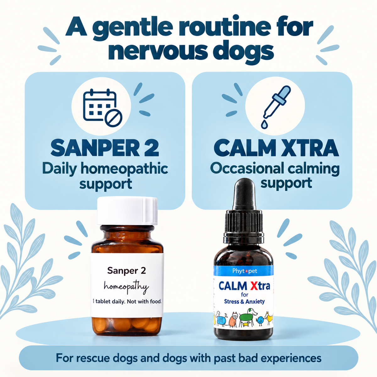Promotional graphic for pet calming products with two bottles shown at the bottom: an amber bottle labeled 'Sanper 2 homeopathy' and a dark dropper bottle labeled 'CALM Xtra' for stress and anxiety. The top text reads 'A gentle routine for nervous dogs' with icons for calendar and dropper, and the bottles are placed on a light blue graphic background with decorative leaf motifs.
