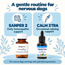 Promotional graphic for pet calming products with two bottles shown at the bottom: an amber bottle labeled 'Sanper 2 homeopathy' and a dark dropper bottle labeled 'CALM Xtra' for stress and anxiety. The top text reads 'A gentle routine for nervous dogs' with icons for calendar and dropper, and the bottles are placed on a light blue graphic background with decorative leaf motifs.