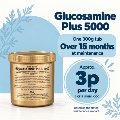 A gold tub of Glucosamine Plus 5000 pet supplement by Gold Label, shown on a white background with blue decorative leaves and promotional text. The text reads 'Glucoamine Plus 5000', 'One 300g tub', 'Over 15 months at maintenance', and 'Approx.