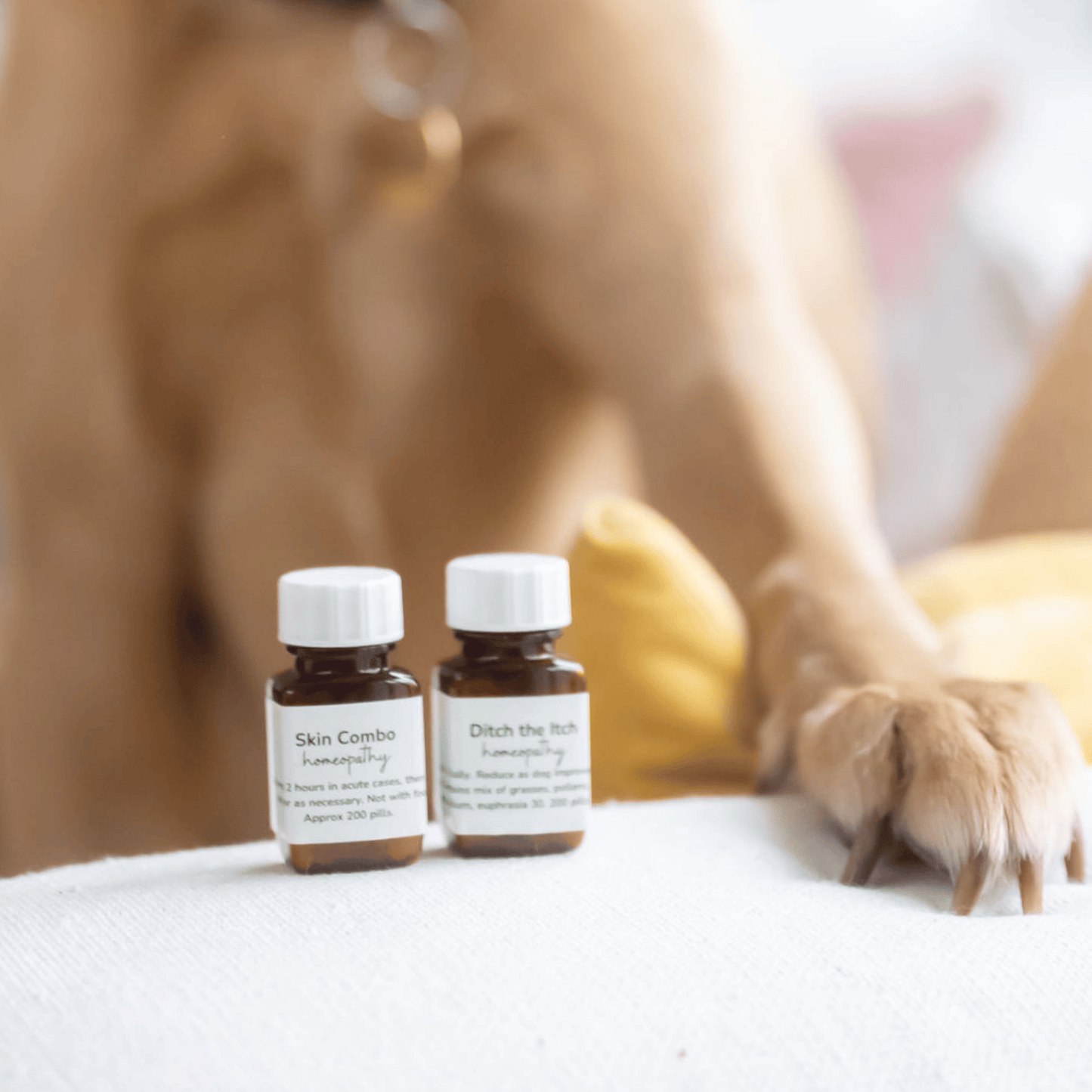 Two small bottles labeled 'Skin Combo' and 'Ditch the Itch' on a surface with a dog's paw in the foreground.