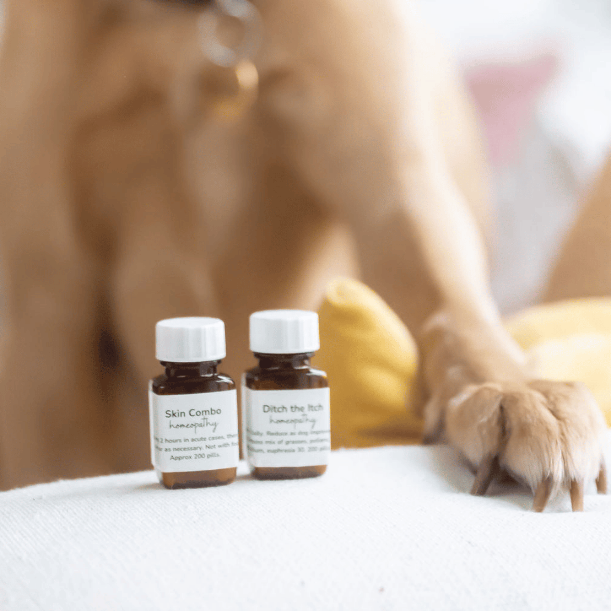 Two small bottles labeled 'Skin Combo' and 'Ditch the Itch' on a surface with a dog's paw in the foreground.