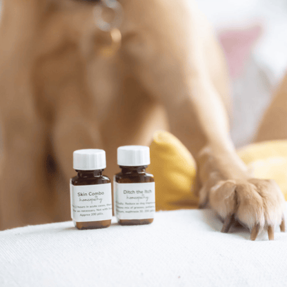 Two small bottles labeled 'Skin Combo' and 'Ditch the Itch' on a surface with a dog's paw in the foreground.