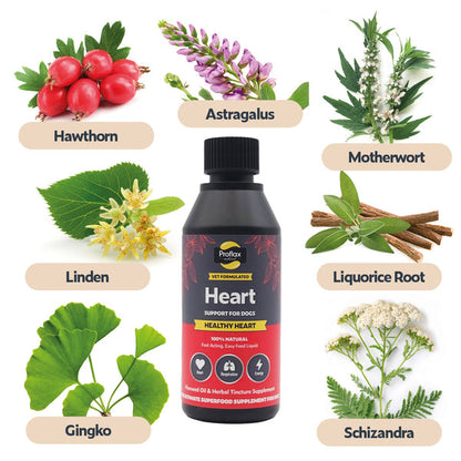 Contains Hawthorn, Astragalus, Motherwort Liquorice Root, Schizandra, Gingko and Linden.