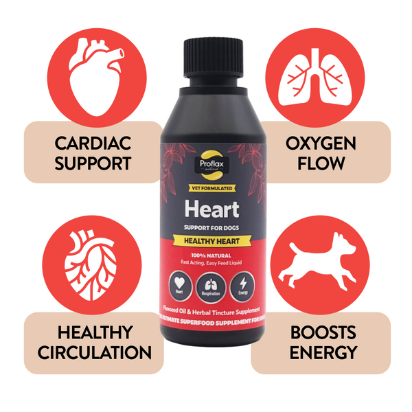 Proflax Heart dog supplement bottle centred in the image, surrounded by icons and labels highlighting cardiac support, oxygen flow, healthy circulation, and boosted energy.