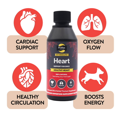 Proflax Heart dog supplement bottle centred in the image, surrounded by icons and labels highlighting cardiac support, oxygen flow, healthy circulation, and boosted energy.