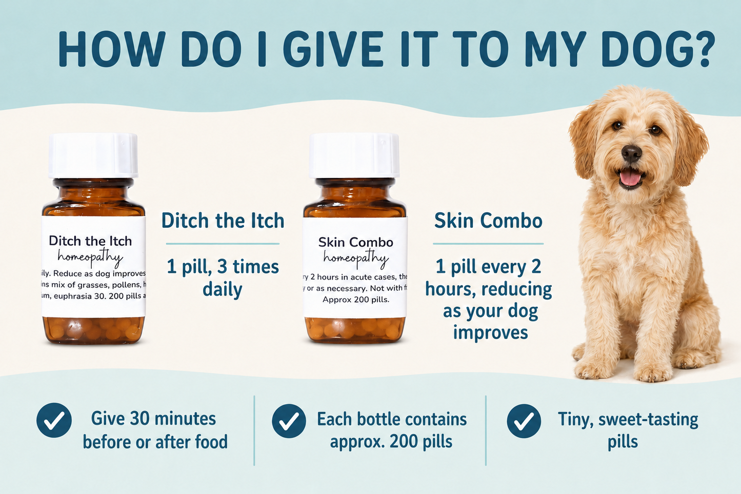 How to give homeopathy Skin Combo and Ditch the Itch