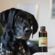 Calm Dog Hemp Oil for Anxious Dogs 100ml