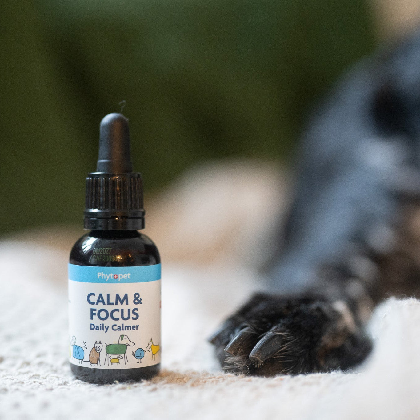 Calm and Focus For Dogs