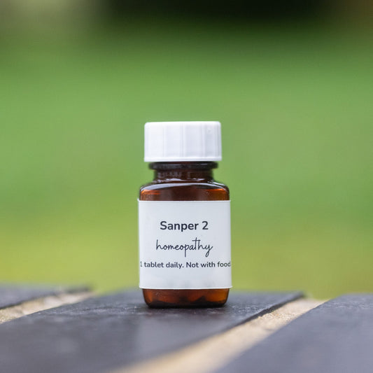 Sanper 2: Nervous Dog