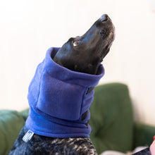 Anti-panic Dog Snood for Noise Sensitivity to help dogs feel calm during loud noises.