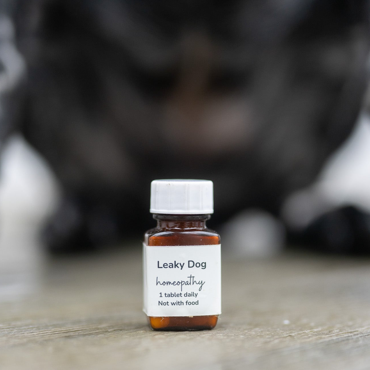 Illustration of Canine Autoimmune Disorders Prevention With Natural Extracts