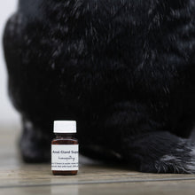 Homeopathic Anal Gland Support for Dogs