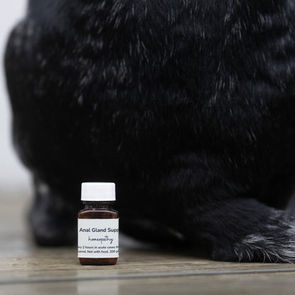 Homeopathic Anal Gland Support for Dogs