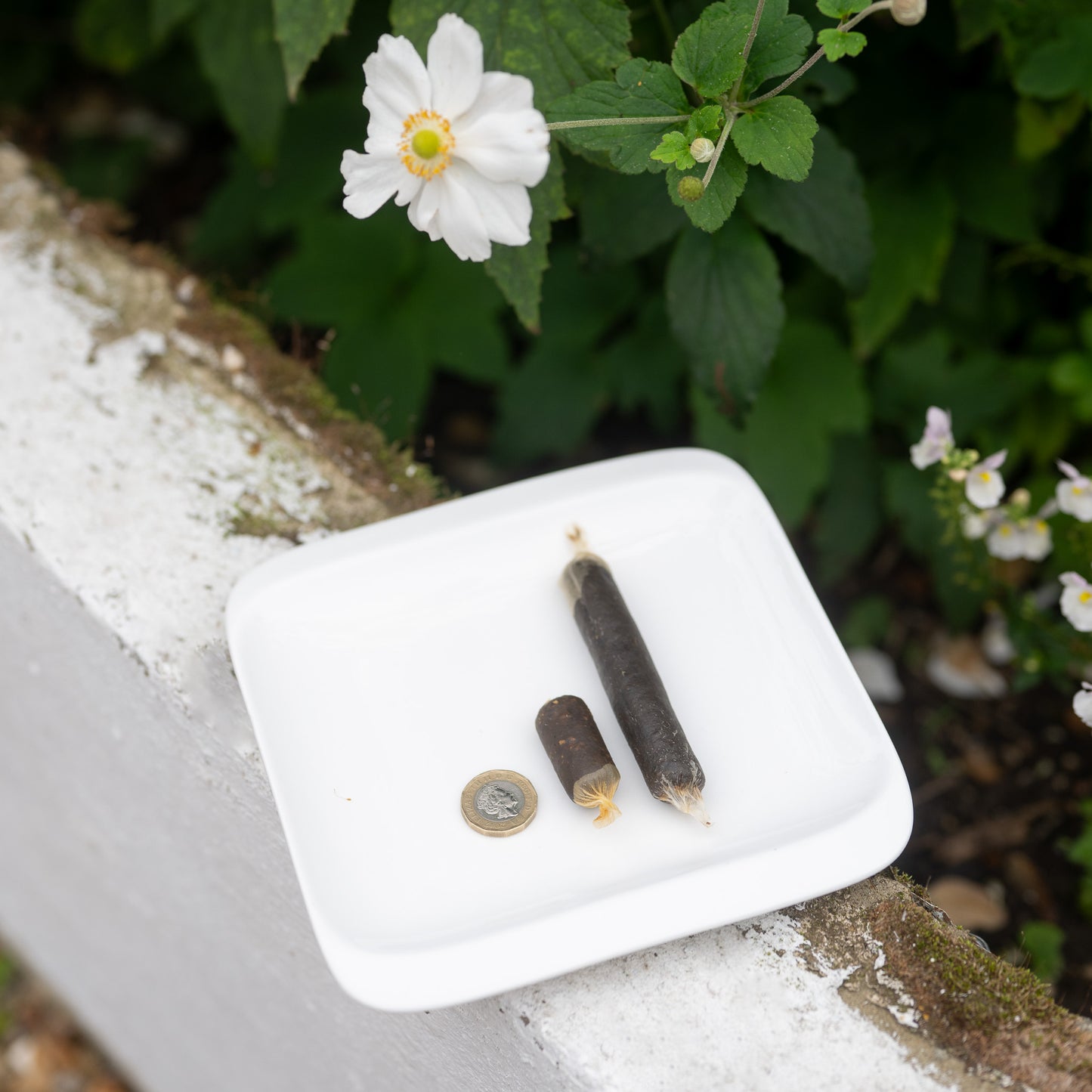 Eden Sausage Treats on a white plate next to a coin, showcasing snack-sized portions for dogs.