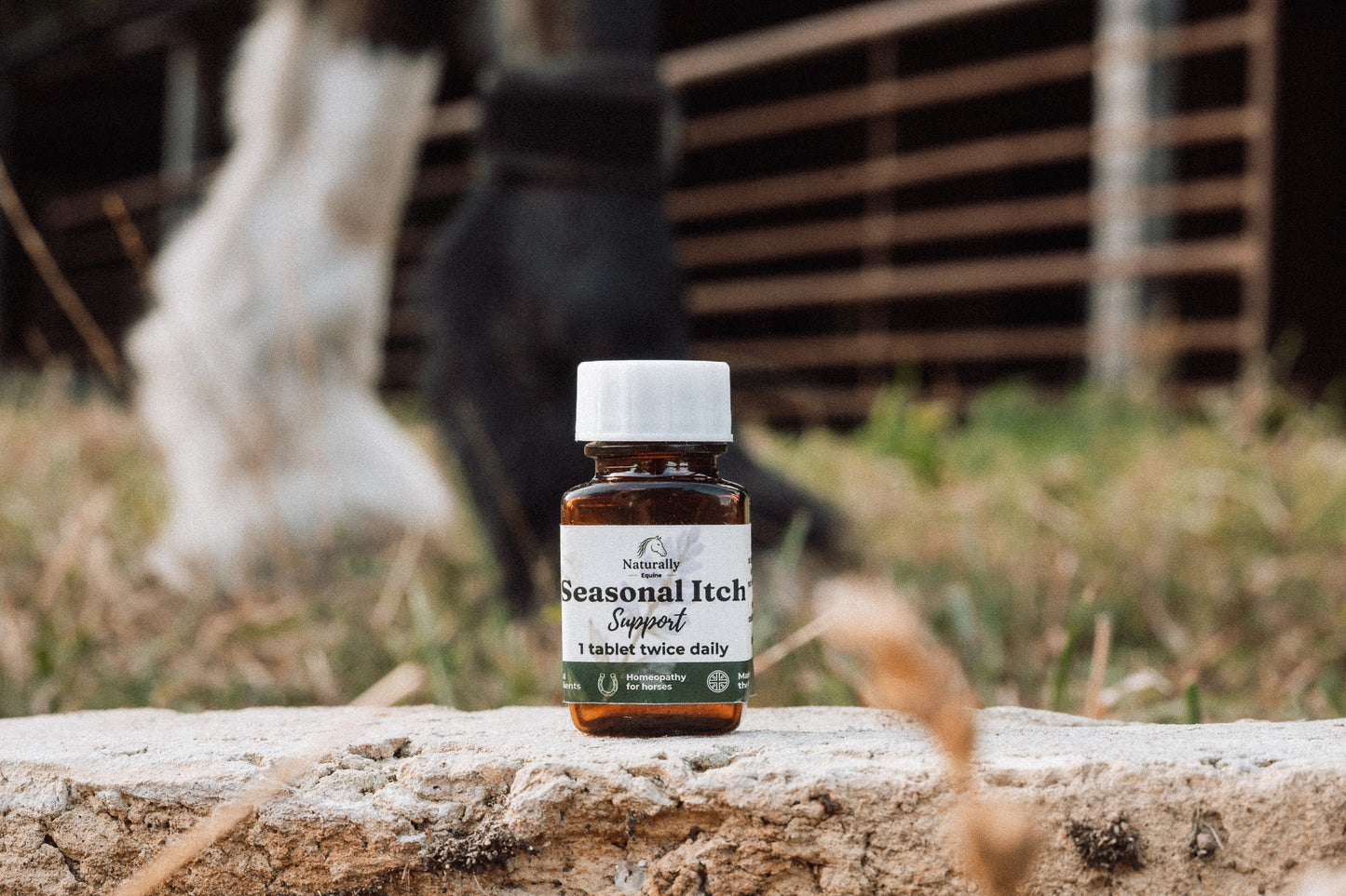 Seasonal Itch Support – Natural Skin Support for Horses in Midge Season
