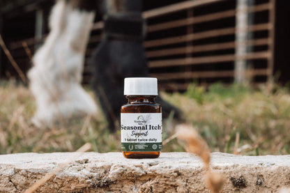Seasonal Itch Support – Natural Skin Support for Horses in Midge Season