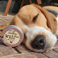 A dog sleeping next to the nose balm.
