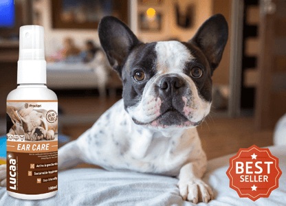 LUCAA+ Pet Probiotic Ear Care