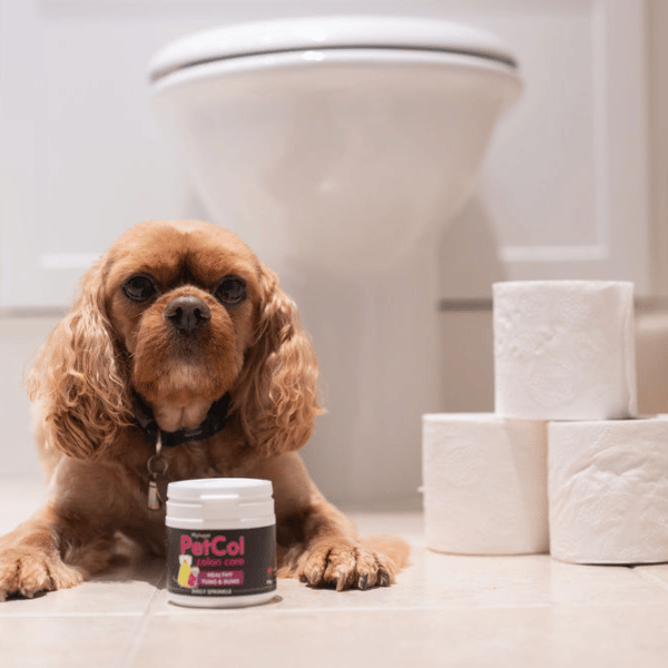 Dog sitting on bathroom floor with a tub of Petcol 