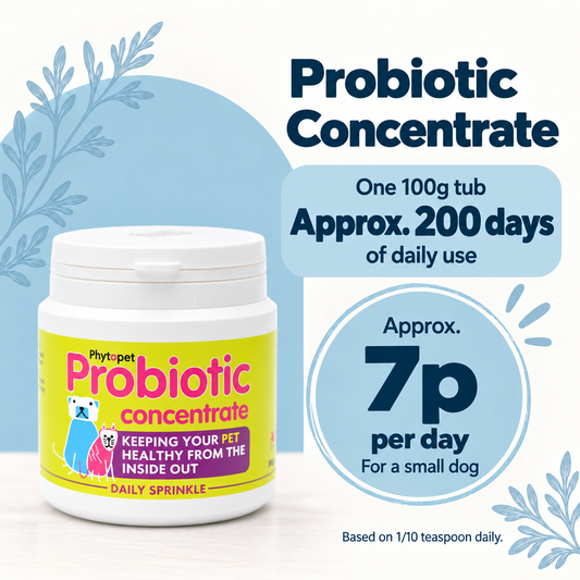 A white tub of Phyt-l-pet Probiotic Concentrate for pets, shown on a clean light background with promotional text.