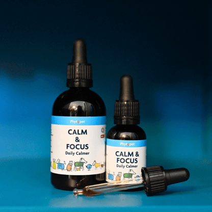 Calm and Focus tincture bottles for dogs, herbal remedy for calming anxious dogs naturally, with Bacopa Monnieri for focus.