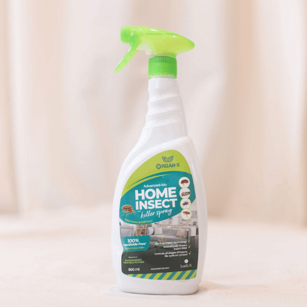 Organ-X Home Insect Killer Spray