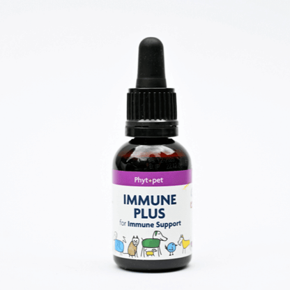 Immune Plus herbal supplement for dog immune support in a dropper bottle.