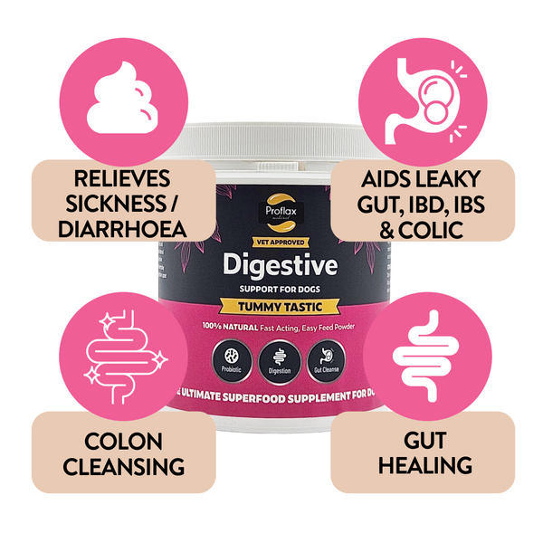 A tub of Proflax Digestive Support - helps relieve sickness / diarrhoea. Aids leaky gut, IBD, IBS and colic.  Colon cleansing and gut healing.