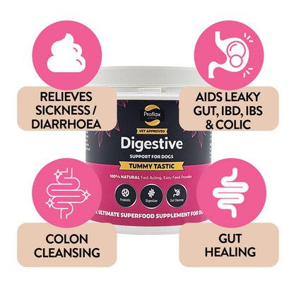 A tub of Proflax Digestive Support - helps relieve sickness / diarrhoea. Aids leaky gut, IBD, IBS and colic.  Colon cleansing and gut healing.