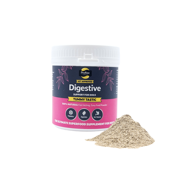 Main image of Proflax Digestive Tummy Tastic on a black and grey background.