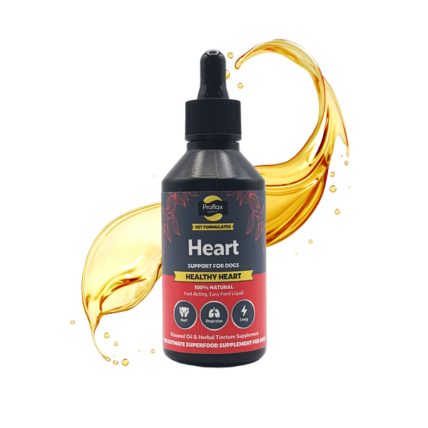 Heart Support for Dogs - Healty Heart