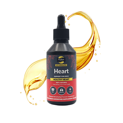 Heart Support for Dogs - Healty Heart