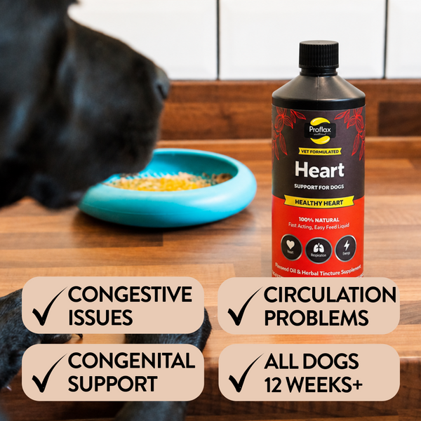 Congestive Issues, Ciculation Problems, Congenital Support - all dogs 12 weeks plus.