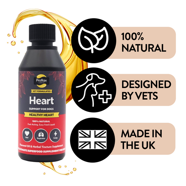 Proflax Healthy Heart - natural liquid heart support supplement for dogs, shown, claims of 100% natural, vet-designed, and made in the UK.